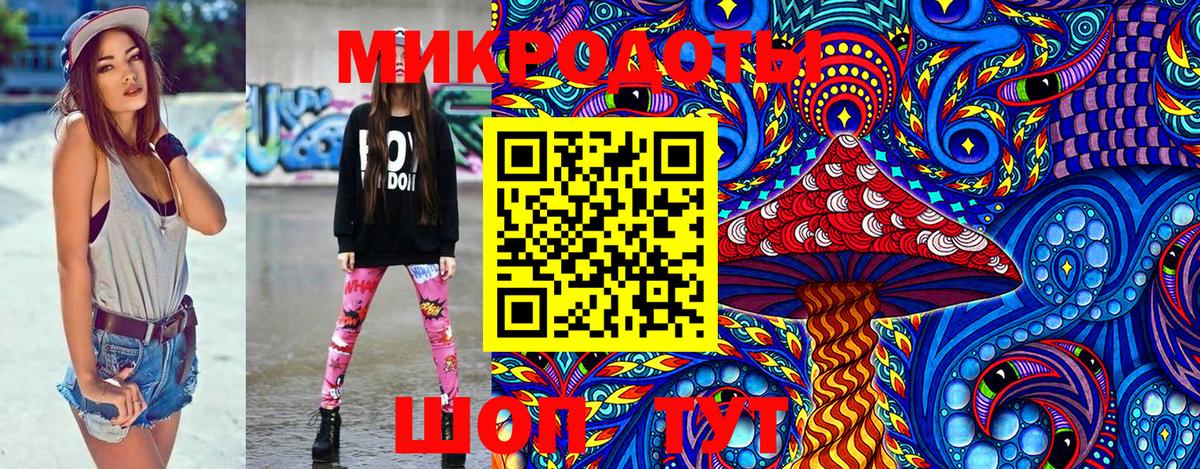 Псилоцибиновые грибы мицелий Зерноград